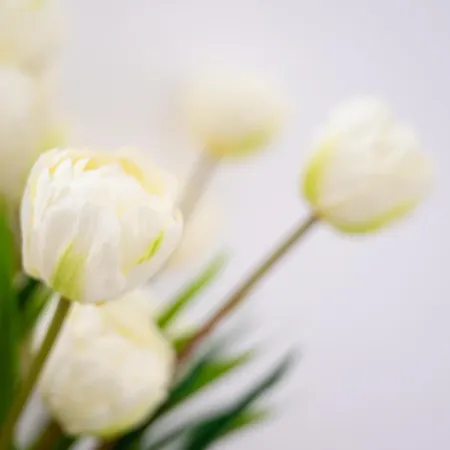 דירה Casa Viandante *