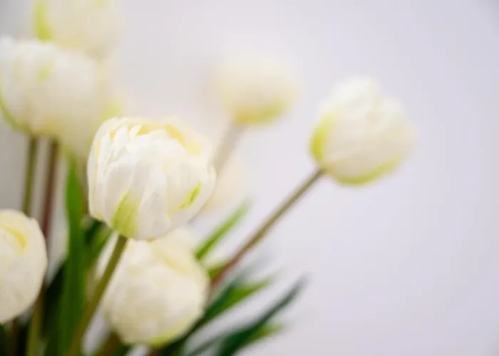 Apartmán Casa Viandante *